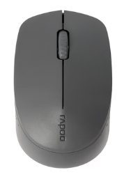Rapoo M100 Mouse